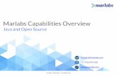 Marlabs Capabilities Overview: Java and Open Source