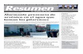 Diario Resumen 20161221