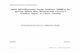 MBA Dissertation Francesco Merone short extract - Copia