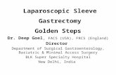 Golden steps to perform laparoscopic sleeve gastrectomy