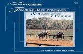 Feeding Race Prospects and Racehorse in Training