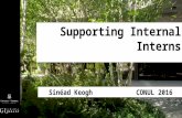 Supporting Internal Interns, Sinéad Keogh