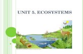 Unit 5  Ecosystems