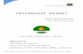 ppl Internship report (Syed Wajih ul Hasnain)
