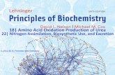 Chapters 18 - Amino acd Oxidation , production of urea Biochemistry