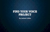 Find your voice project