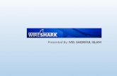 Wireshark Basic Presentation