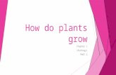 Ch.1.how do plants grow (part 2)