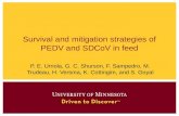 Dr. Pedro Urriola - Survival And Mitigation Strategies Of PEDv & Deltacorona Virus In Feed
