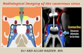 Presentation1, radiological imaging of cavernous sinus lesions.