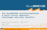 The BlueBRIDGE multidisciplinary & multi-sector approach: challenges and user benefits
