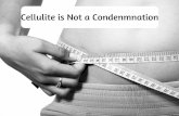 Josh Bezoni: Cellulite is Not a Condemnation