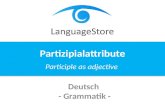 LanguageStore - Partizipien