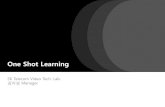 One-Shot Learning
