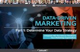 Determine Your Data Strategy