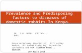 Prevalence and Predisposing factors to diseases of domestic rabbits ...