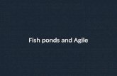 Fish Ponds and Agile - Agile Africa 2016