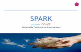 SPARK Service Offerings
