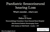 Imaging of hearing loss: Sensorineural hearing loss