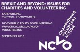 Brexit and beyond: Issues for charities and volunteering