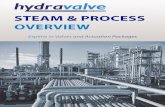 Hydravalve Steam & Process Valves