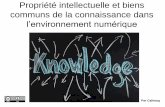 Propriété intellectuelle et biens communs de la connaissance dans l'environnement numérique
