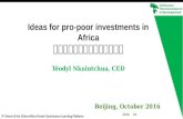 Ideas for pro-poor investments in Africa