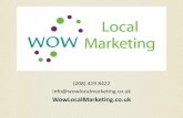 WOW Local Marketing Website Audits PowerPoint