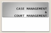 3. CASE MANAGEMENT & COURT MANAGEMENT