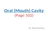 Oral Cavity & The Tongue (Anatomy of the Neck)