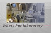 Whats hot laboratory