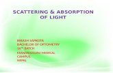 Scattering and absorption of light