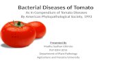 Bacterial diseases of tomato compendium