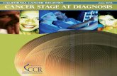 Cancer by Stage of Diagnosis, June 2013