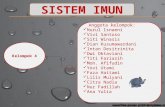 Sistem imun kelompok 4 fix 1