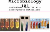 F 15 Lab 22 Carbohydrate metabolism