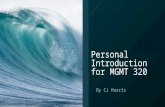 Personal introduction for mgmt 320 1 11 17
