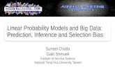 Linear Probability Models and Big Data: Prediction, Inference and Selection Bias