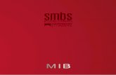Executive Master of International Business – SMBS University of Salzburg Business School