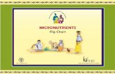 Fsnau   micronutrients-in-somalia-flipchart-english[1]
