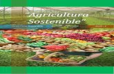 Agricultura sostenible- universidad tecnologica del sur UNTEC