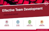 Executive Director Essentials: Effective Team Development