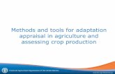 Methods and tools for adaptation appraisal in agriculture and assessing crop production