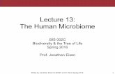 BIS2C: Lecture 13: The Human Microbiome