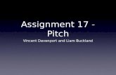 Assignment 17 Pitch