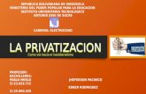 la privatización