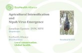 Agricultural intensification and Nipah virus emergence