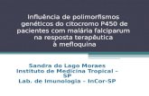 Influência de polimorfismos genéticos do citocromo P450 de pacientes com malária falciparum na resposta terapêutica à mefloquina
