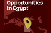 Doing Business in Egypt | 09 September 2016