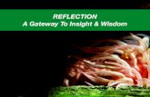 Reflection: A Gateway to Insight & Wisdom, by Michael Mamas